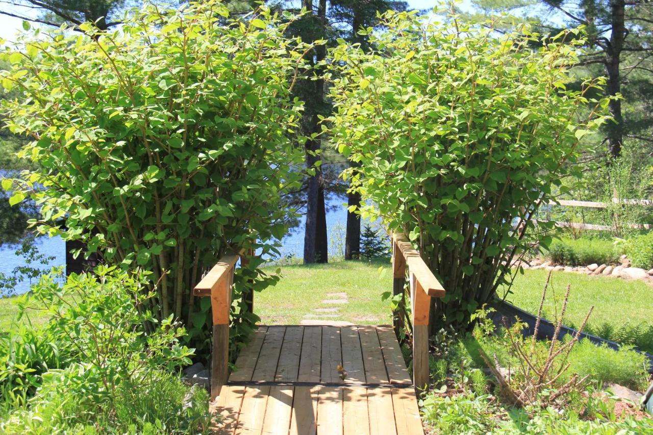 Spring Lake Resort Dwight Luaran gambar