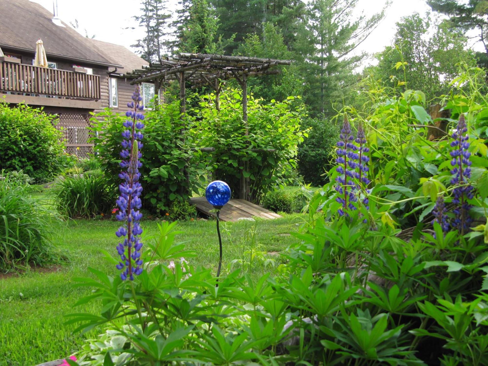 Spring Lake Resort Dwight Luaran gambar